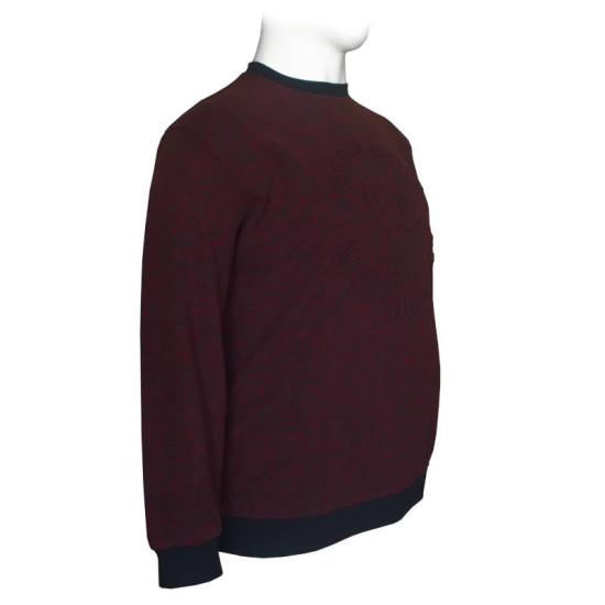 Μακρυμάνικη Μπλούζα Wool Feel με Flock 3D στάμπα της Leo Collection - Bordeaux