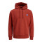 Hoodie φούτερ 