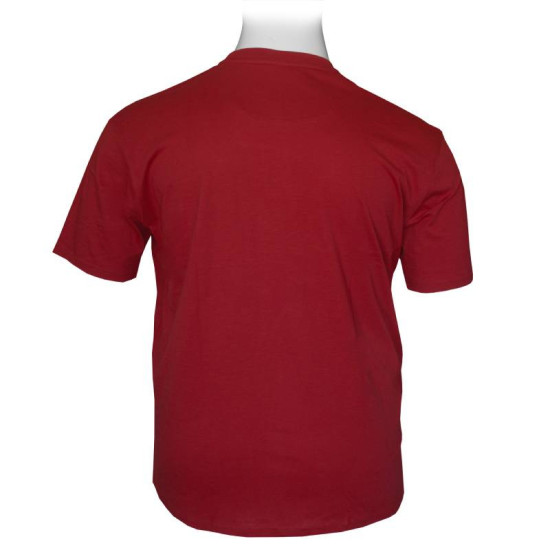 T-shirt από βαμβακερή φλάμα, T-shirt από βαμβακερή φλάμα,