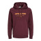 Hoodie φούτερ 
